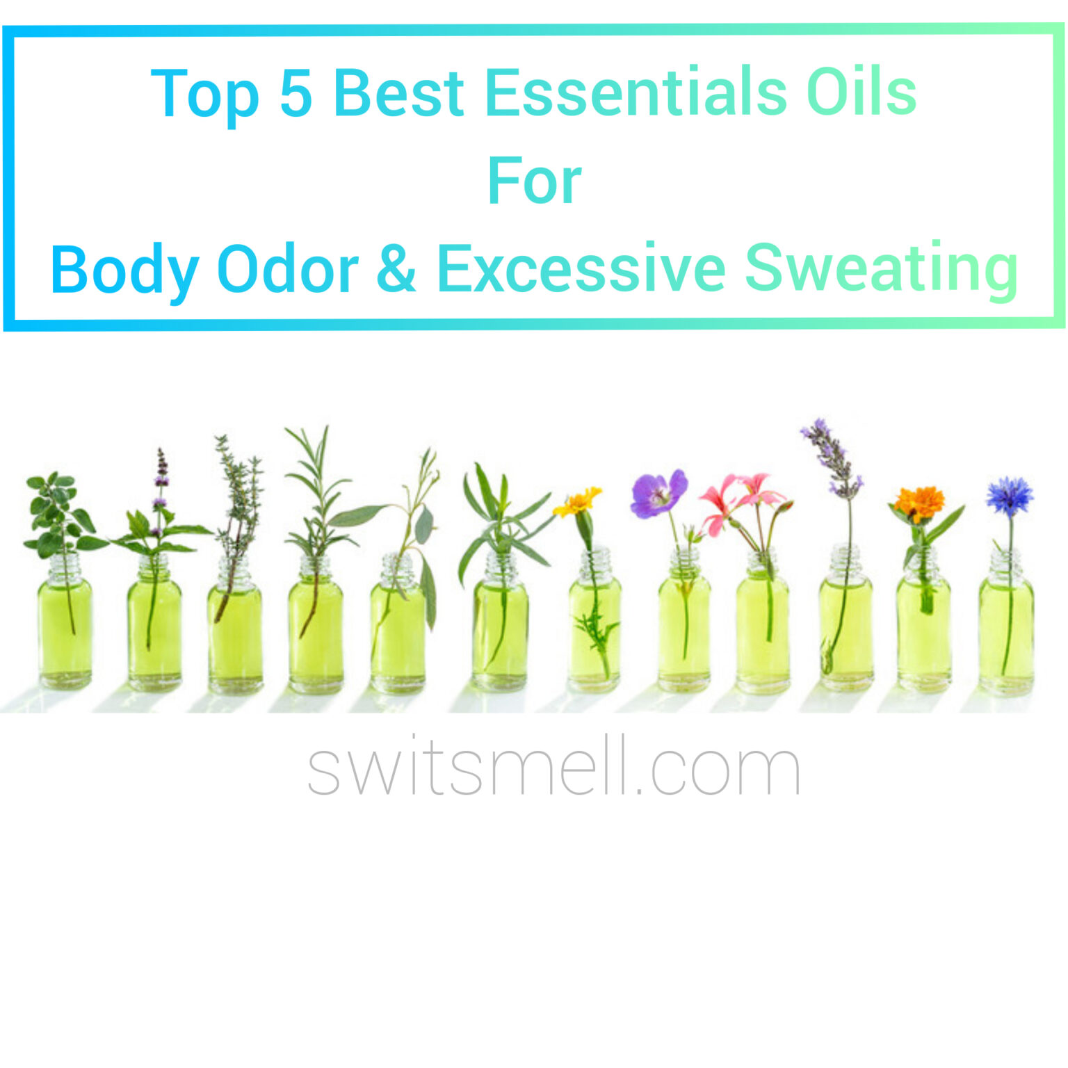 Top 5 Essential Oils For Body Odor And Excessive Sweating Switsmell 