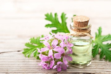 geranium essential oils for body odor