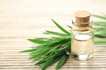 tea tree essential oils for body odor