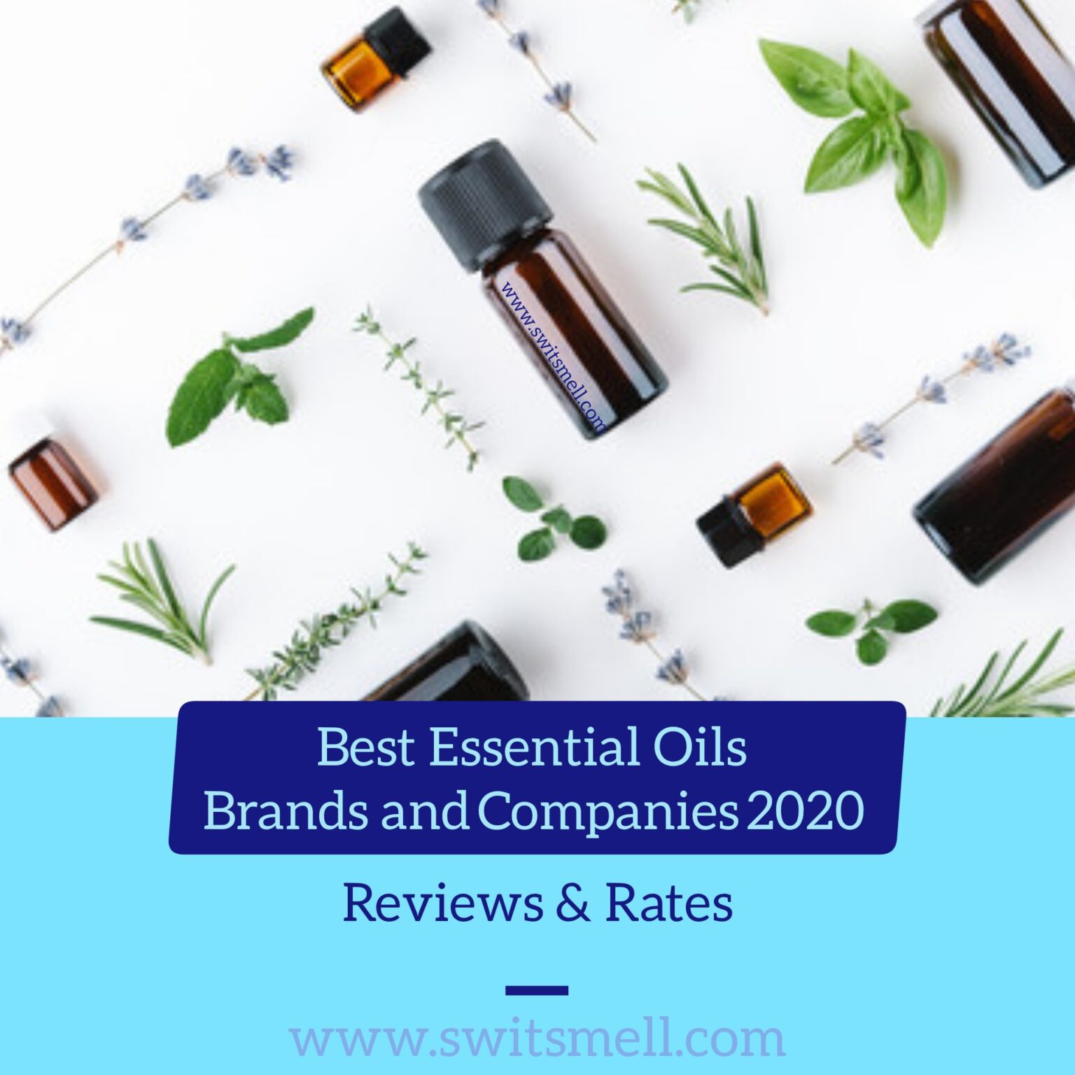 Best Essential Oils Brands and Companies 2020 (Review & Rates) SwitSmell